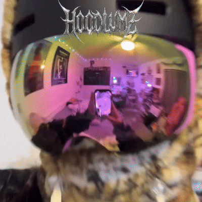 Hoodlumz - BaddieClava.